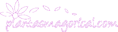Plantasmagorical Logo